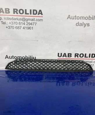 Front bumper lower grill