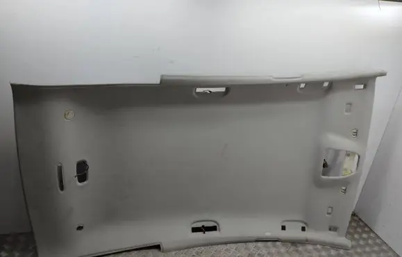 Mercedes-Benz B W245 Headlining 
