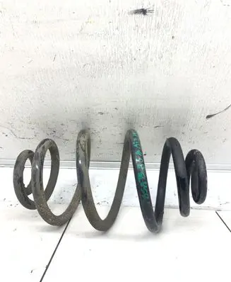 Volkswagen PASSAT B5.5 Rear coil spring