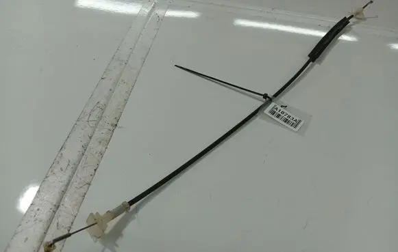 Opel Signum Front door cable line 