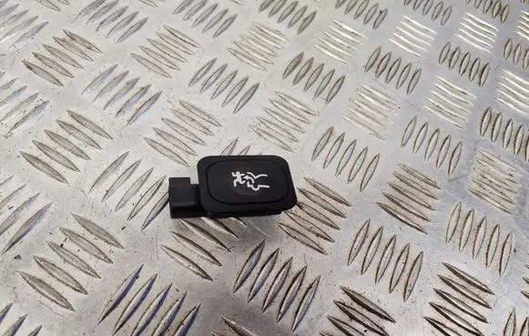 Tailgate opening switch