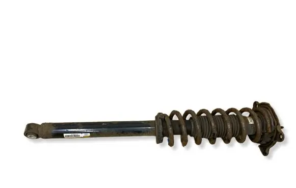 Tesla Model S Rear shock absorber with coil spring 101562003B