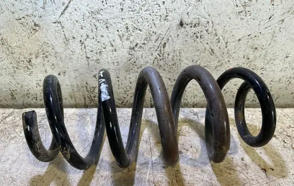 Rear coil spring