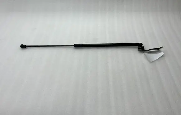 Tailgate/trunk strut/damper