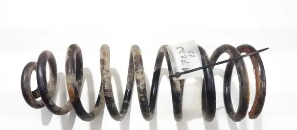 Rear coil spring