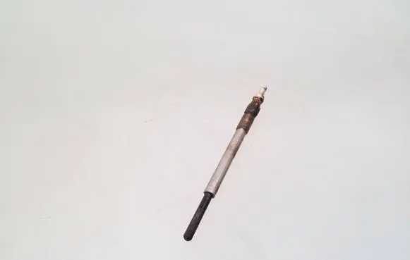 Peugeot Partner Glow plug 0100276012