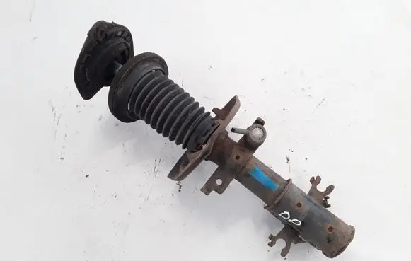 Renault Laguna III Front shock absorber/damper 543025668R
