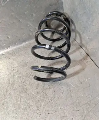 Nissan Qashqai Front coil spring 