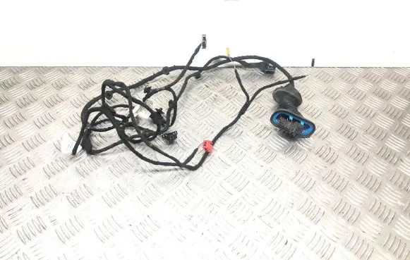 Audi A4 S4 B6 8E 8H Rear door wiring loom 8E0971693B 010766JM 68233020859