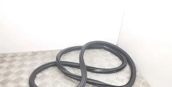 Rear door rubber seal (on body)