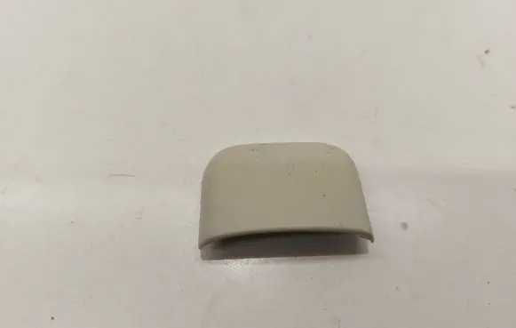 Volkswagen PASSAT B8 Headlining roof cover 5G0868523A