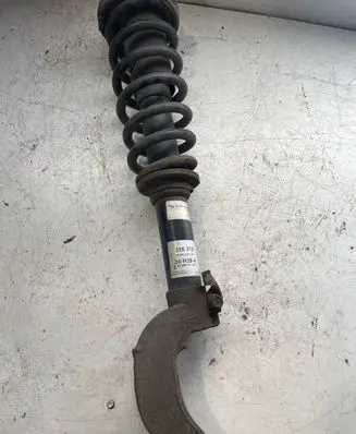 BMW X6 E71 Front shock absorber/damper 36H39A 315312