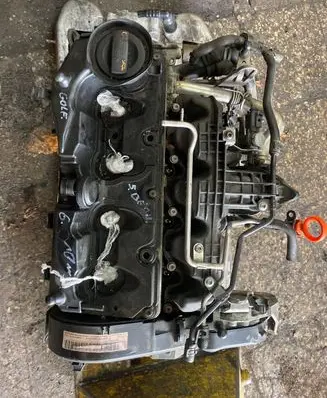 Volkswagen Golf VI Engine CAY