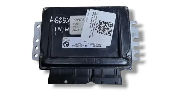 Engine control unit/module ECU