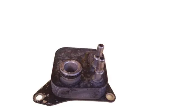 Land Rover Range Rover Sport L320 Engine oil radiator 276DT