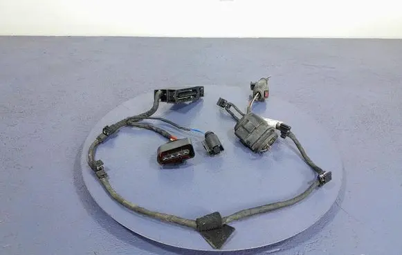 Other wiring loom