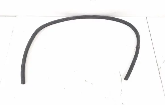 Mercedes-Benz SLK R172 Front door rubber seal A1726970051