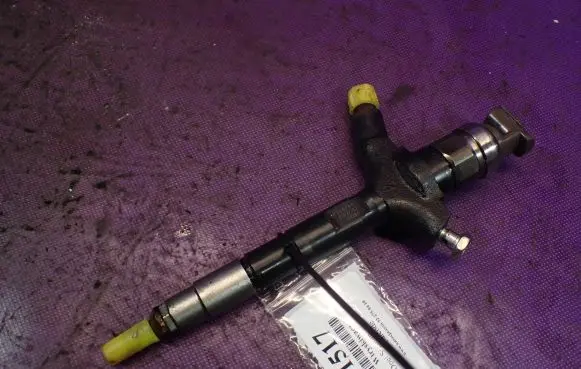 Opel Signum Fuel injector 0800