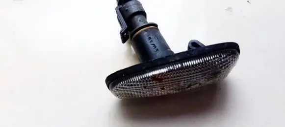 Front fender indicator light