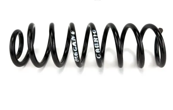 Renault Megane II Rear coil spring