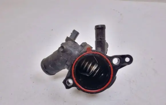 Nissan Qashqai Thermostat 110617089R