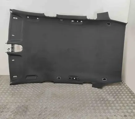 Porsche Cayenne (9Y0 9Y3) Headlining 9Y0867501B