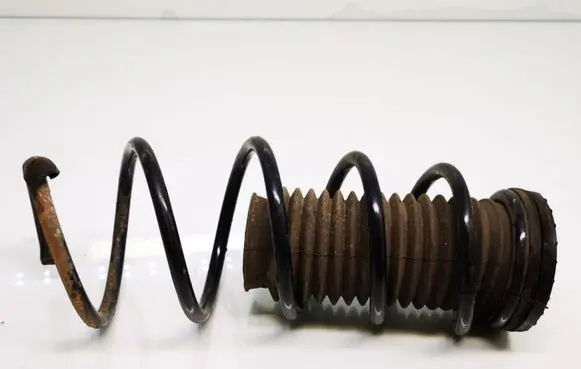 Front coil spring