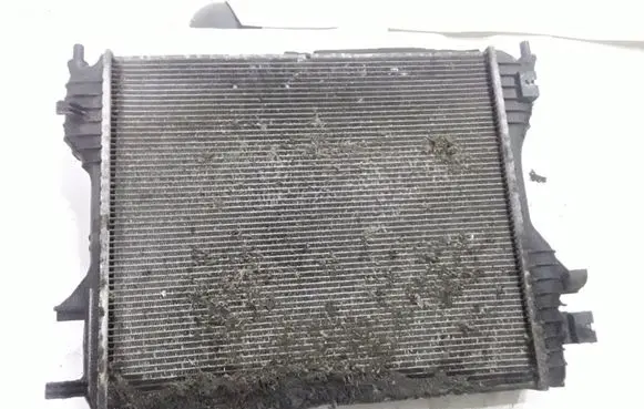 Jaguar XF Coolant radiator 4R838005BE
