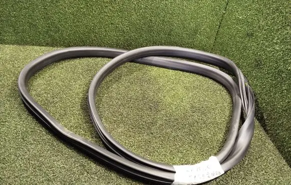 Renault Kangoo III Front door rubber seal 