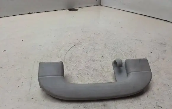 Mercedes-Benz B W245 Rear interior roof grab handle A1698100151 H3140403