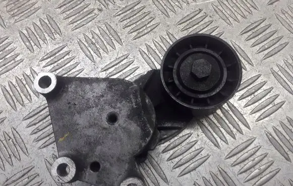 Peugeot 307 Alternator belt tensioner pulley TF114A825809