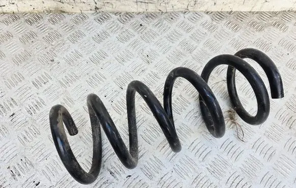 Rear coil spring