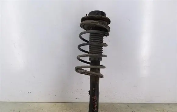 Peugeot 206 Front shock absorber with coil spring