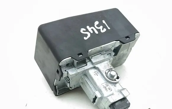 Steering wheel lock