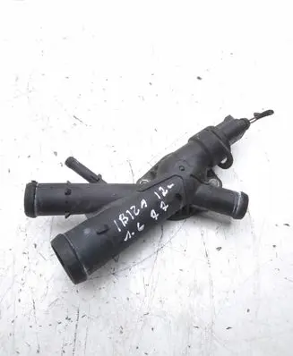 Thermostat/thermostat housing