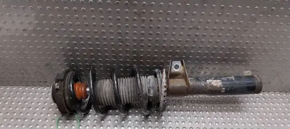 Volkswagen Golf V Front shock absorber/damper 1T0413031CM