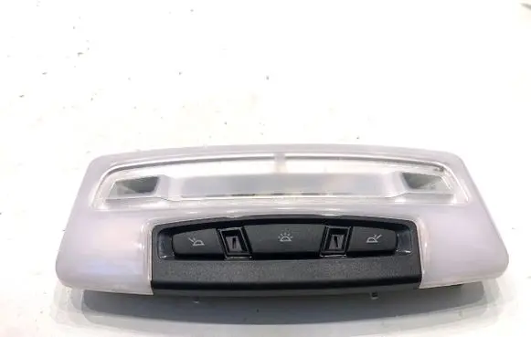 BMW X6 F16 Headlining lighting console trim 179349