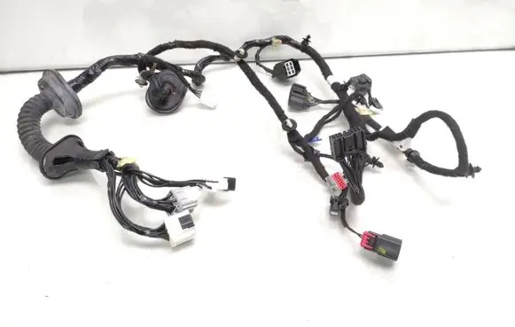 Front door wiring loom