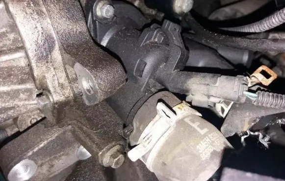 Ford Focus Engine coolant pipe/hose