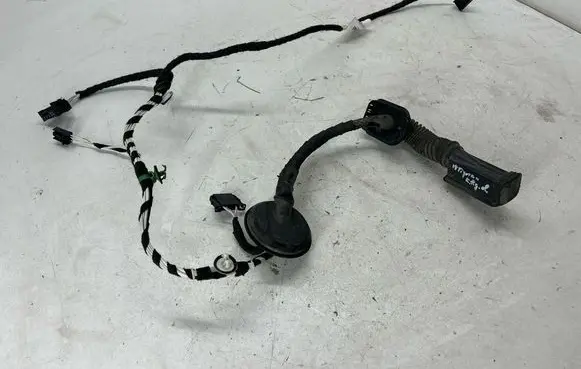 Volkswagen Tiguan Allspace Rear door wiring loom 5NN971693E