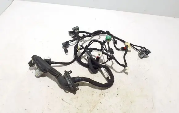 Other wiring loom