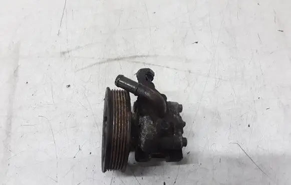 Hyundai Santa Fe Power steering pump