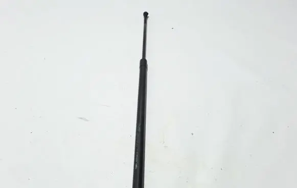 Renault Scenic III - Grand scenic III Tailgate strut 904517337R