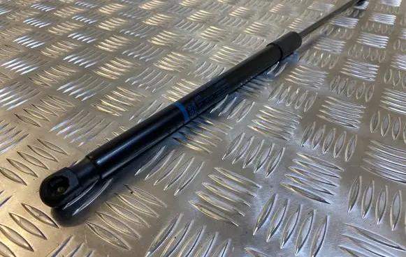 Tailgate strut