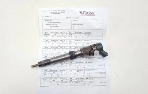 Iveco Daily 4th gen Fuel injector 0445110248 504088823