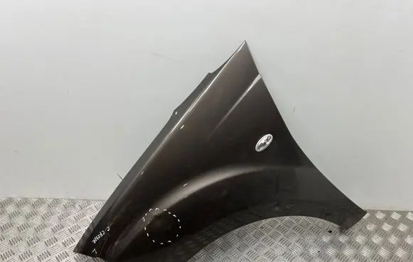 Fender