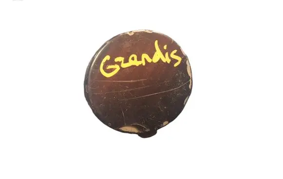 Mitsubishi Grandis Front tow hook cap/cover MR957660