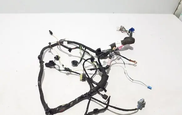 Tesla Model X Other wiring loom 103244000G