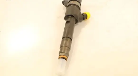 Renault Scenic II - Grand scenic II Fuel injector 0445110230