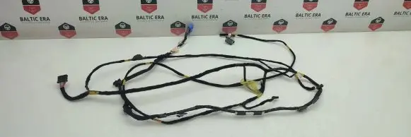 Rear door wiring loom